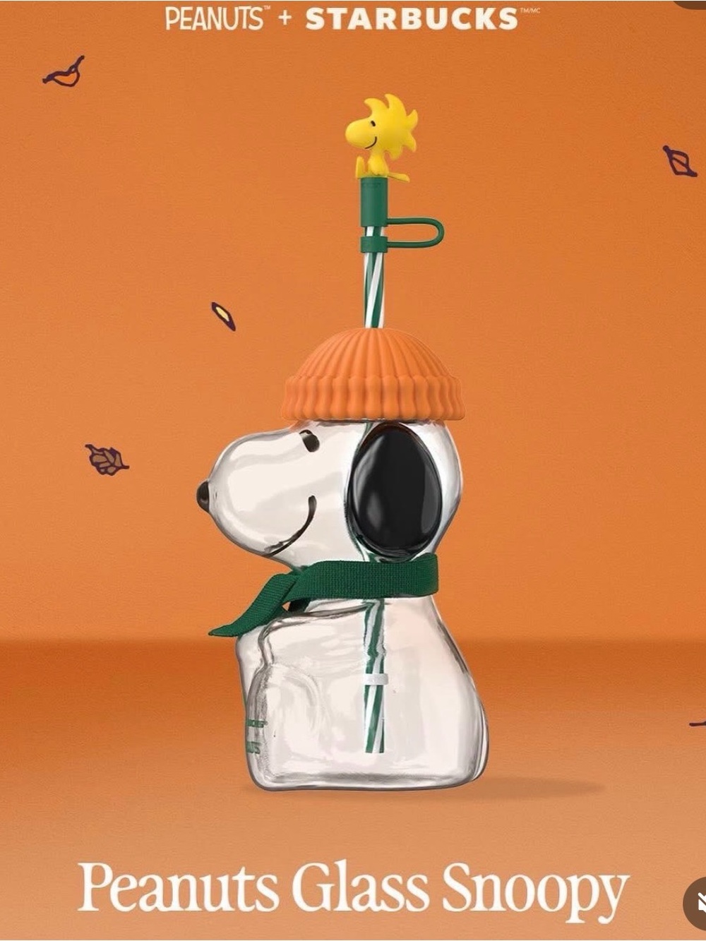 Starbucks x Peanuts collection - Glass Snoopy Bottle